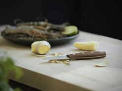 Fiskars Norr Peeling Knife 10 Fiskars Norr Peeling Knife -Selected Kitchenware Store Fiskars Kitchen Environmental Norr Peeling knife ginger 1016475 28129